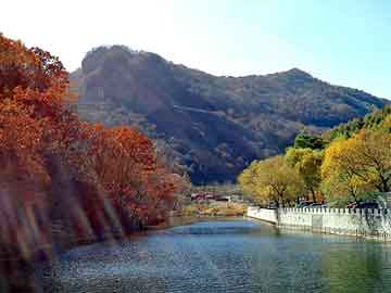 广告设计大学，专业特色与学习路径